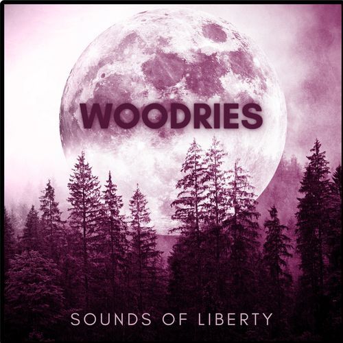 Sounds Of Liberty