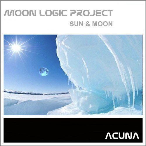 Moon Logic Project
