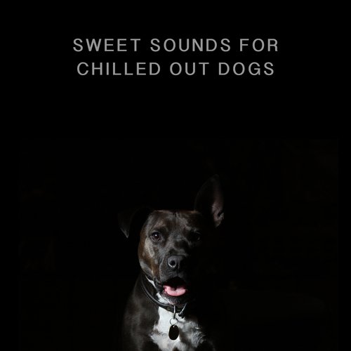This Is Calming Dog Chillout cover art