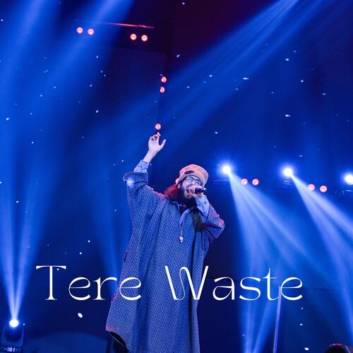 Tere Waste_poster_image