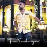 Teri Tanhaiyan artwork