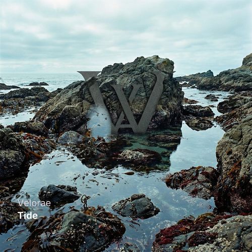 Tide