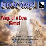 Wings of a Dove Remix (Radio Edit)