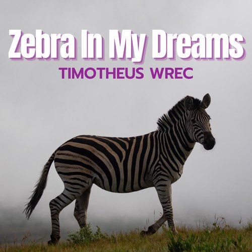 Mysterious Wrec cover art