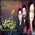 Zindagi Tere Bina