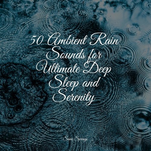 50 Ambient Rain Sounds for Ultimate Deep Sleep and Serenity_poster_image