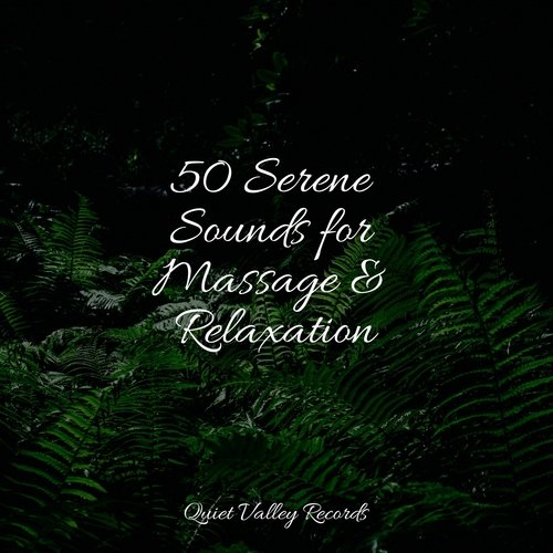 50 Serene Sounds for Massage & Relaxation