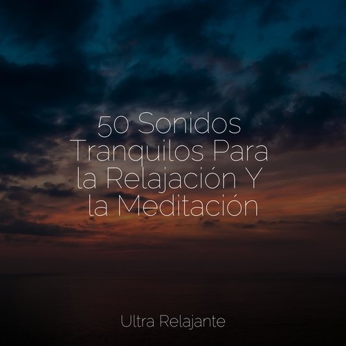 50 Sonidos Tranquilos Para la Relajación Y la Meditación_poster_image