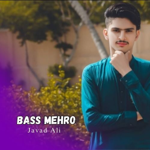 Bass Mehro