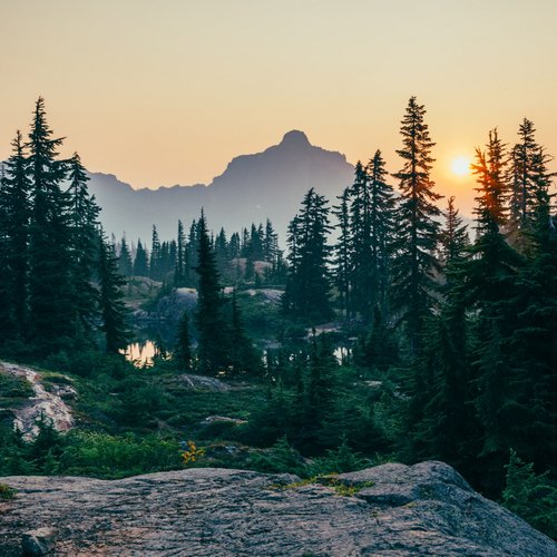 Binaural Nature Noise cover art