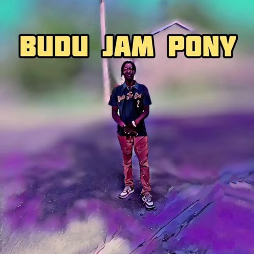 Budu Jam Pony cover art