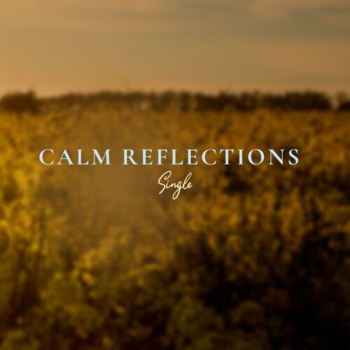 Calm Reflections_poster_image