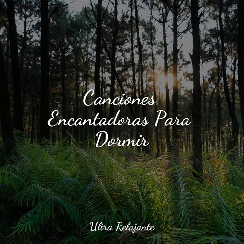 Sonidos Relajantes cover art
