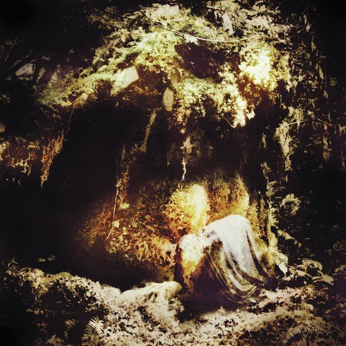 Wolves in the Throne Room