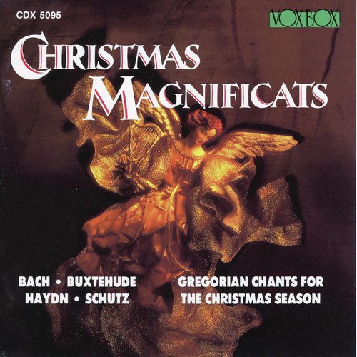 Magnificat in D Major, BWV 243a: X. Gloria in excelsis
