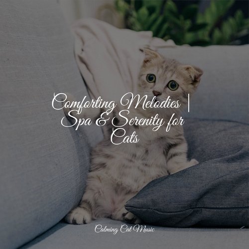 Lazy Morning cover art