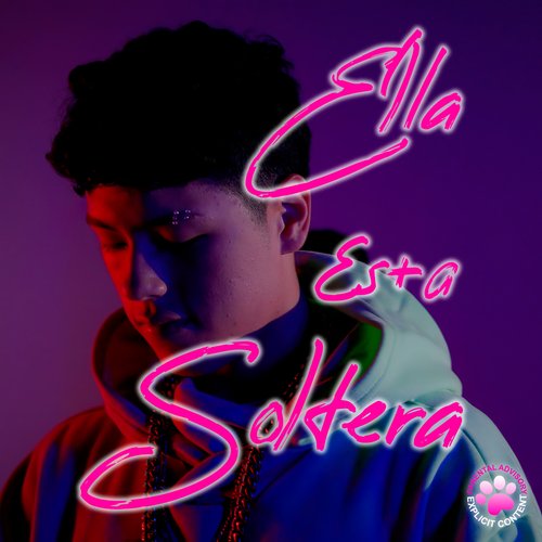 Ella Está Soltera_poster_image