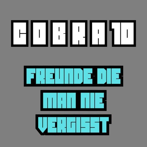 Freunde Die Man Nie Vergisst cover art