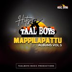 Hits Of Taalboys Mappilapattu Albums, Vol. 5