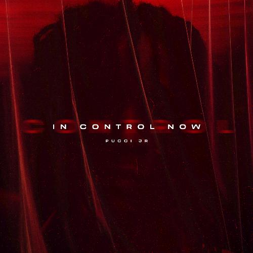 In Control Now_poster_image