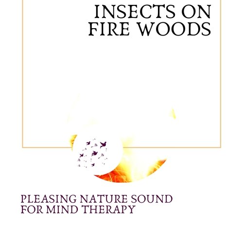 Calm Stream Noise cover art
