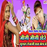 Jini Jini Ude Re Gulal Tejaji Thara Mela Me