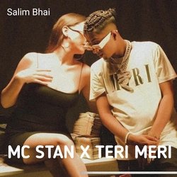 Mc Stan &amp; Teri Meri (Remix)-RhpbASByREI