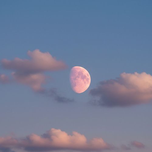 Moonlight Confession