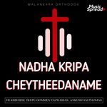 Nadha Kripa Cheytheedaname
