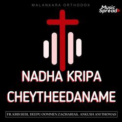 Nadha Kripa Cheytheedaname