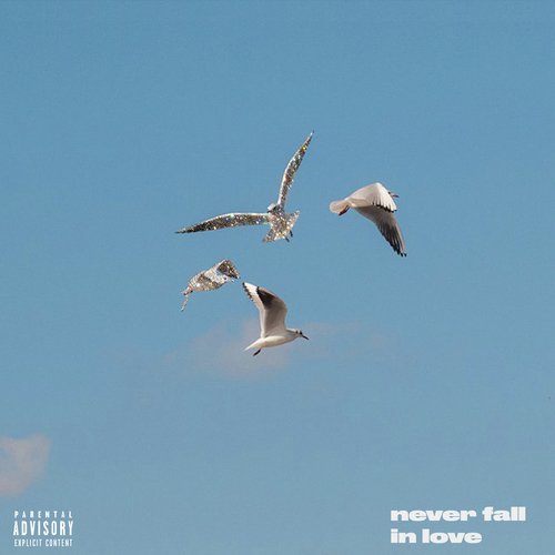 Never Fall In Love_poster_image