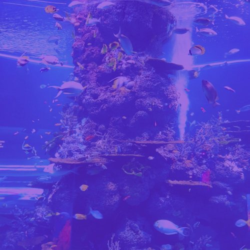 Calm Serenity cover art