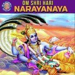 Om Shri Hari Narayana