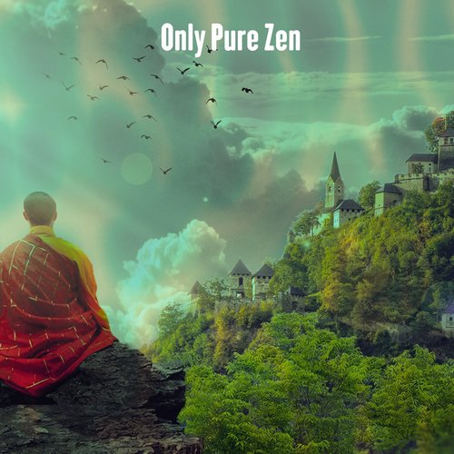 Only Pure Zen