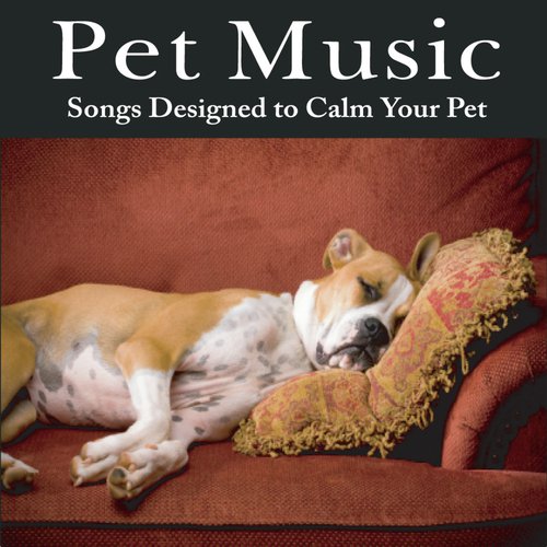 Pet Music: Songs Designed to Calm Your Pet Music for Pets, Music for Dogs, Music for Cats_poster_image