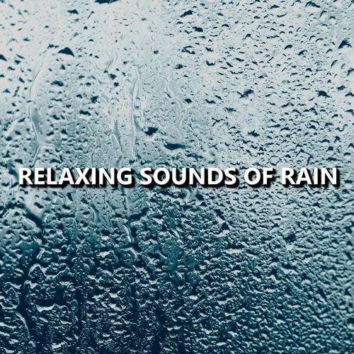 Relaxing Nature Rain Sounds