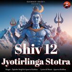 Shri Baidhyanath Jyotirlinga Stotra