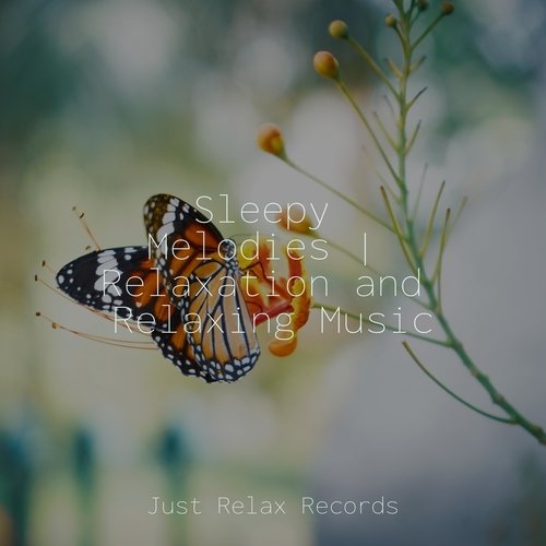 Sleepy Melodies | Relaxation and Relaxing Music