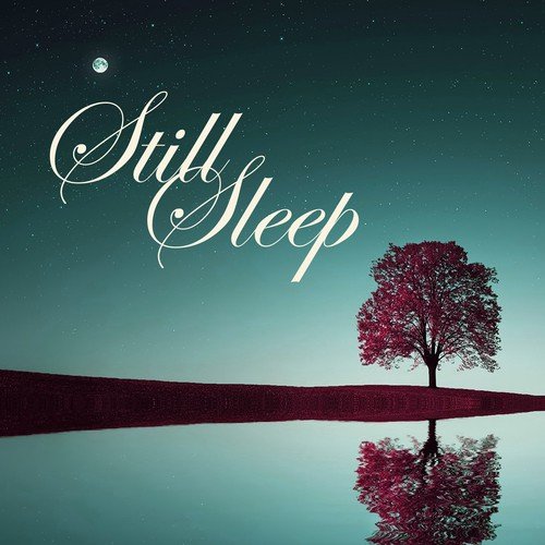 Still Sleep - Rejuvenation and Deep Sleeping Songs, Heavenly Music for Relaxation