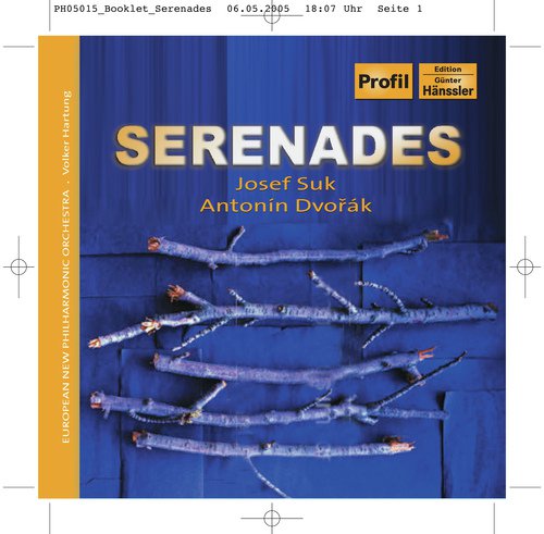 Serenade for Strings in E-Flat Major, Op. 6: II. Allegro non troppe e grazioso
