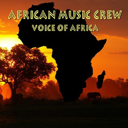 Voice of Africa_poster_image