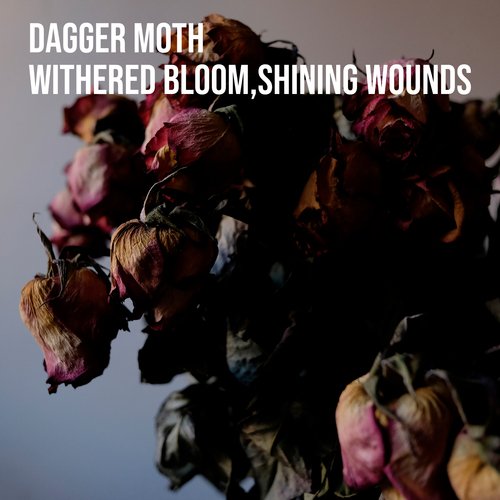 Withered bloom, shining wounds_poster_image