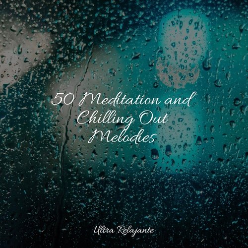 50 Meditation and Chilling Out Melodies_poster_image