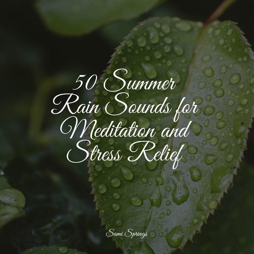 50 Summer Rain Sounds for Meditation and Stress Relief_poster_image