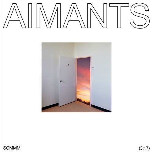 AIMANTS (feat. Ariane Moffatt &amp; D R M S)_poster_image