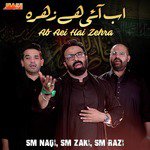 Ab Aei Hai Zehra