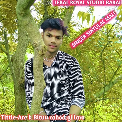 Are k Bituu cohod gi laro (Rajsthani)