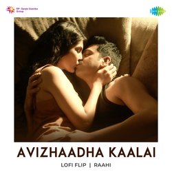 Avizhaadha Kaalai LoFi Flip-HCAKCSBGBXU