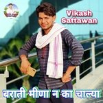 Baarati Meena N Ka Chalya (Meenawati)