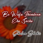 Be Wafa Thendeen Eho Socho